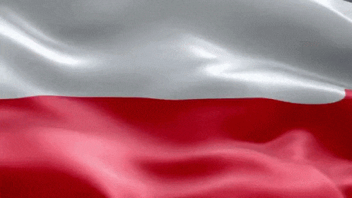 Study in Poland